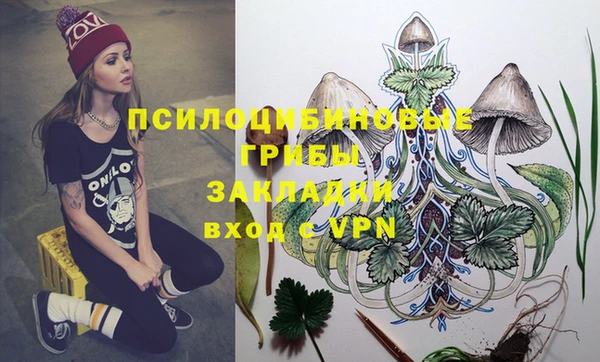 mdpv Алзамай