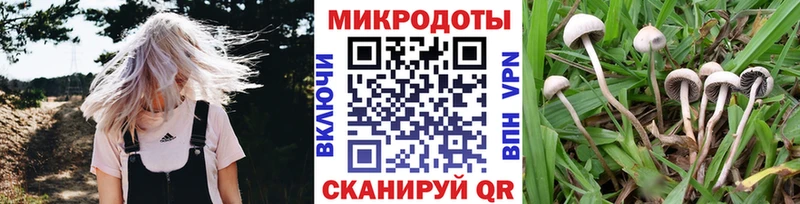 наркота  Лесной  Псилоцибиновые грибы ЛСД 