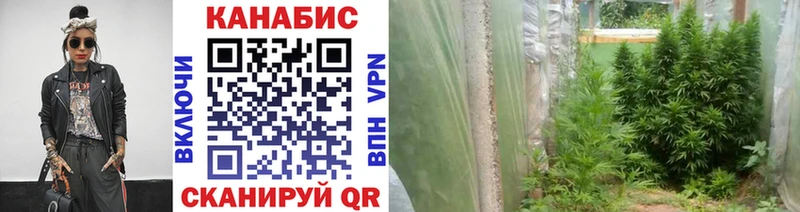 Канабис Bruce Banner  Лесной 